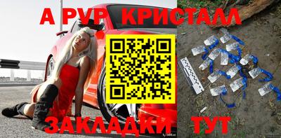 дживик Кингисепп
